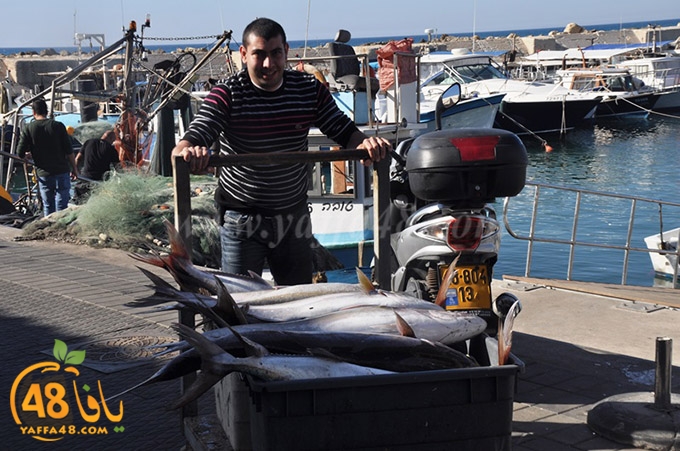 samak antayasa (5).JPG